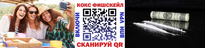 Cocaine FishScale  купить   Сольвычегодск 