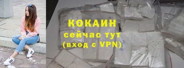 дживик Арсеньев