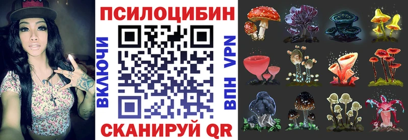 Галлюциногенные грибы Cubensis  Сольвычегодск 